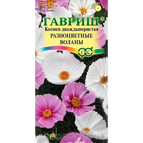 Космея Разноцветные воланы, смесь окрасок изображение 1 артикул 92113