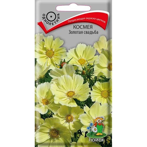 Космея Золотая свадьба, семена артикул фото 1 Космея Золотая свадьба, семена изображение 1 артикул 93011