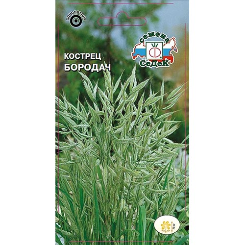 Кострец Бородач, семена изображение 1 артикул 93855