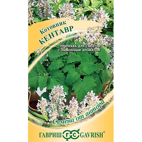 Котовник Кентавр, семена изображение 1 артикул 91715