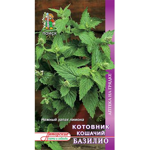 Котовник кошачий Базилио Поиск изображение 1 артикул 81895