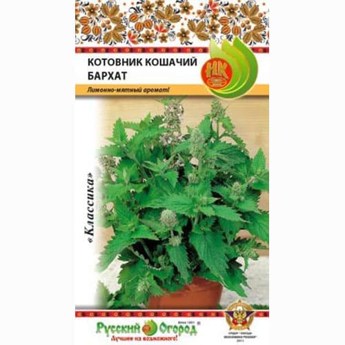 Котовник лимонный Бархат Русский огород НК изображение 1 артикул 69893