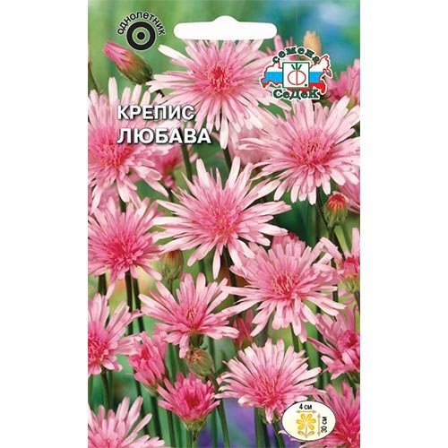 Крепис Любава, семена изображение 1 артикул 93857