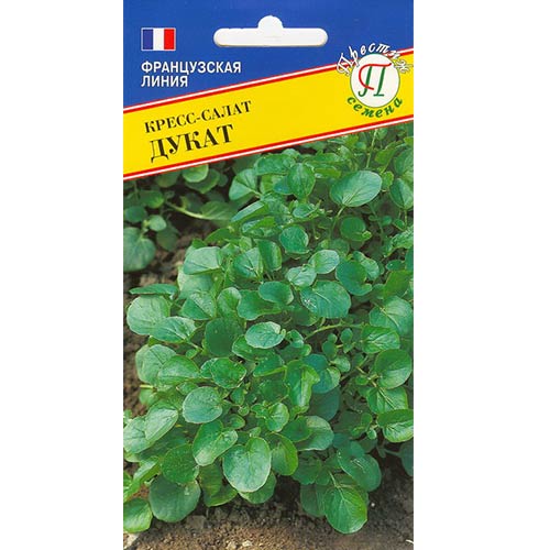 Кресс-салат Дукат Престиж изображение 1 артикул 84196