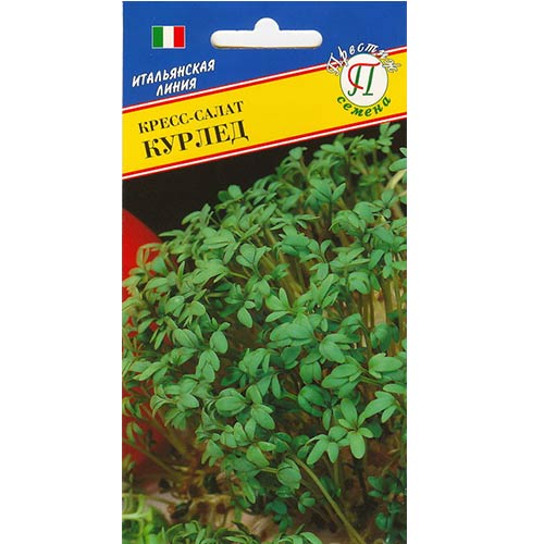 Кресс-салат Курлед Престиж изображение 1 артикул 84197