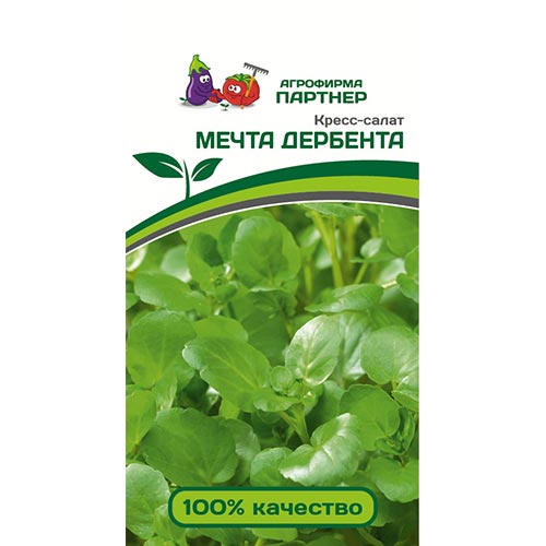 Кресс-салат Мечта Дербента, семена изображение 1 артикул 92669