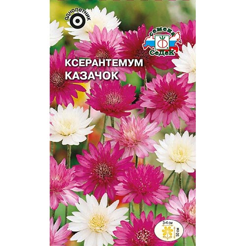 Ксерантемум Казачок , смесь окрасок изображение 1 артикул 93858