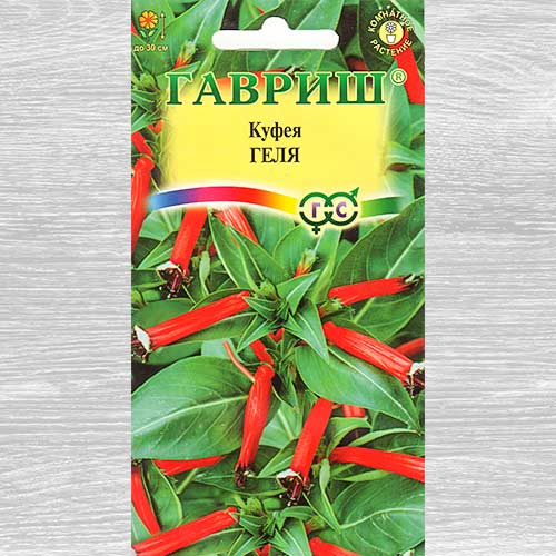 Куфея Геля Гавриш артикул фото 1 Куфея Геля Гавриш изображение 1 артикул 82397