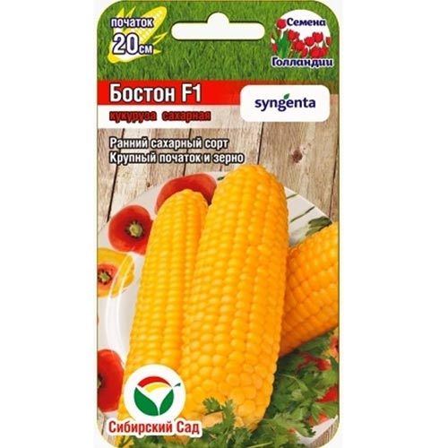 Кукуруза Бостон F1, семена изображение 1 артикул 94358