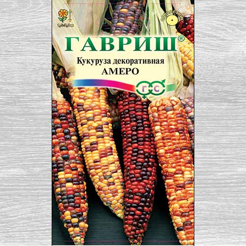 Кукуруза декоративная Амеро, смесь окрасок Гавриш изображение 1 артикул 73861