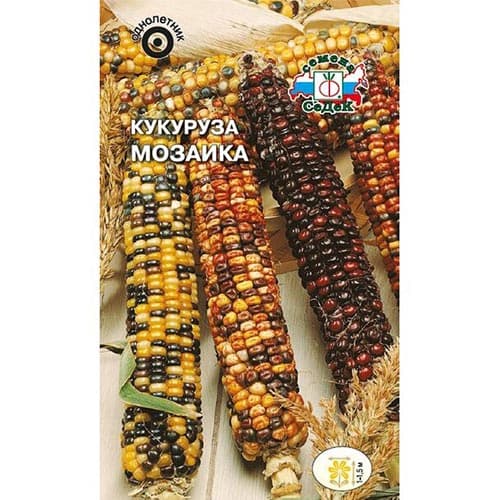 Кукуруза декоративная Мозаика, смесь окрасок изображение 1 артикул 93859