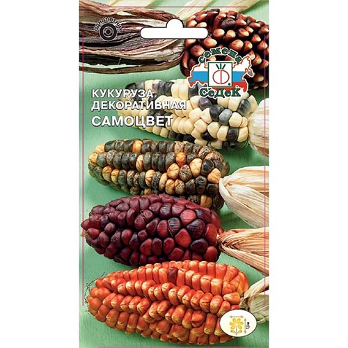 Кукуруза декоративная Самоцвет, смесь окрасок изображение 1 артикул 93860