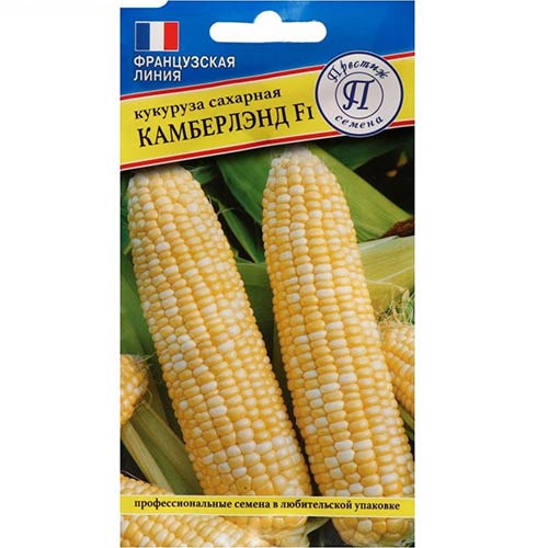 Кукуруза Камберлэнд F1 Престиж артикул фото 1 Кукуруза Камберлэнд F1 Престиж изображение 1 артикул 81154