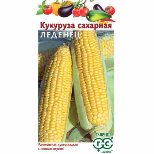 Кукуруза сахарная Леденец F1 Гавриш изображение 1 артикул 87977