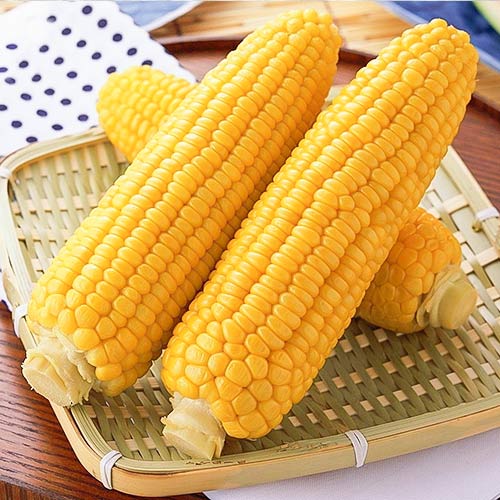 Кукуруза Сахарный гигант Уральский дачник изображение 1 артикул 83025