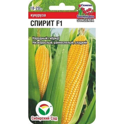 Кукуруза Спирит F1 Сибирский сад изображение 1 артикул 71823