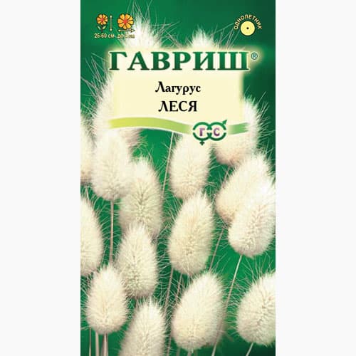 Лагурус яйцевидный Леся Гавриш изображение 1 артикул 97715