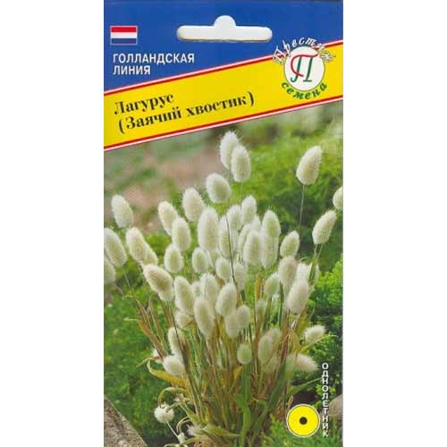 Лагурус (заячий хвостик) Престиж изображение 1 артикул 71465