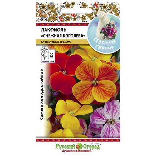 Лакфиоль (хейрантус) Снежная Королева, смесь окрасок изображение 1 артикул 92548