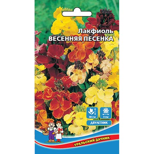 Лакфиоль (хейрантус) Весенняя песенка, смесь окрасок артикул фото 1 Лакфиоль (хейрантус) Весенняя песенка, смесь окрасок изображение 1 артикул 94820