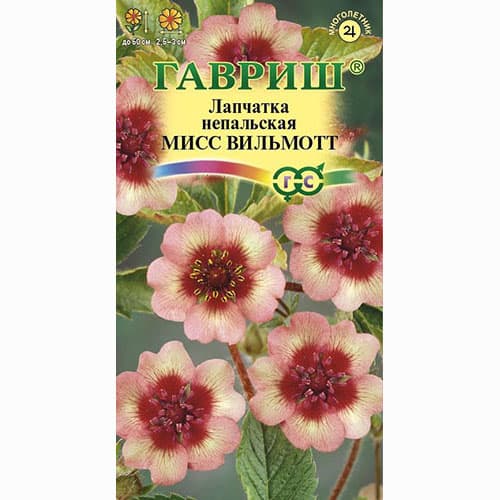 Лапчатка непальская Мисс Вильмонт Гавриш изображение 1 артикул 73743