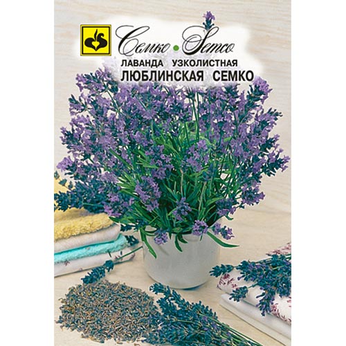 Лаванда Люблинская Семко, семена изображение 1 артикул 94297