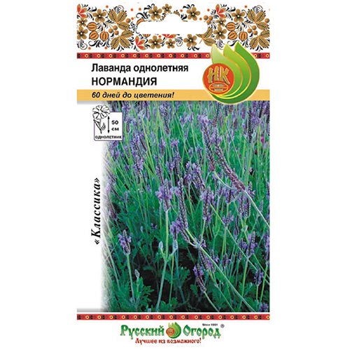 Лаванда Нормандия, семена изображение 1 артикул 92545
