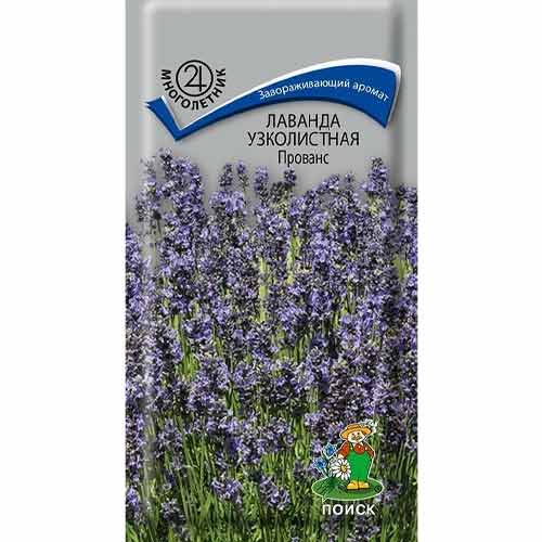 Лаванда узколистная Прованс Поиск изображение 1 артикул 93023