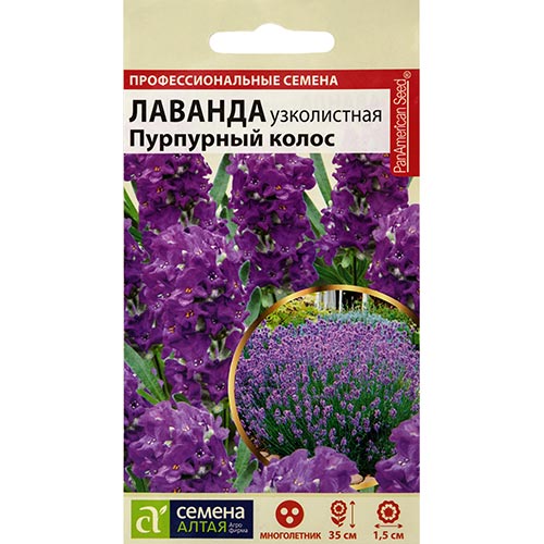 Лаванда Пурпурный колос, семена изображение 1 артикул 94186