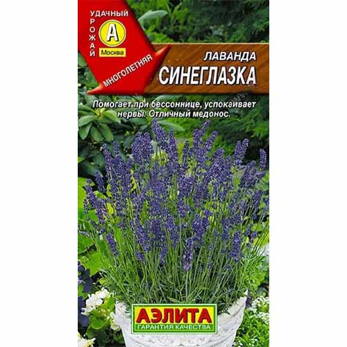Лаванда Синеглазка Аэлита артикул фото 1 Лаванда Синеглазка Аэлита изображение 1 артикул 40078