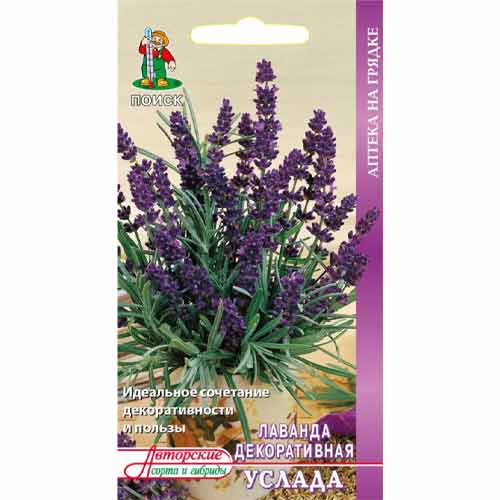 Лаванда декоративная Услада Поиск изображение 1 артикул 93025