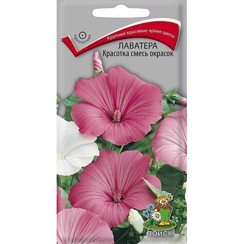 Лаватера Красотка, смесь окрасок изображение 1 артикул 93029