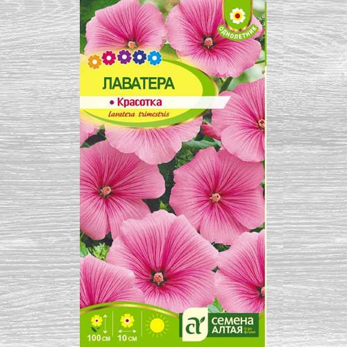 Лаватера Красотка артикул фото 1 Лаватера Красотка изображение 1 артикул 78154
