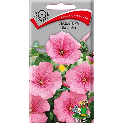Лаватера Лавлайнс, семена изображение 1 артикул 93030
