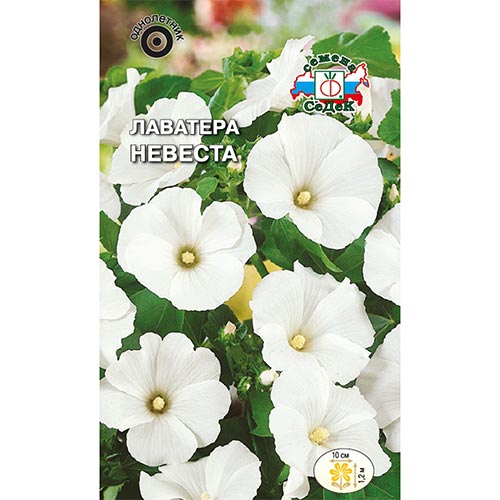 Лаватера Невеста, семена изображение 1 артикул 93863