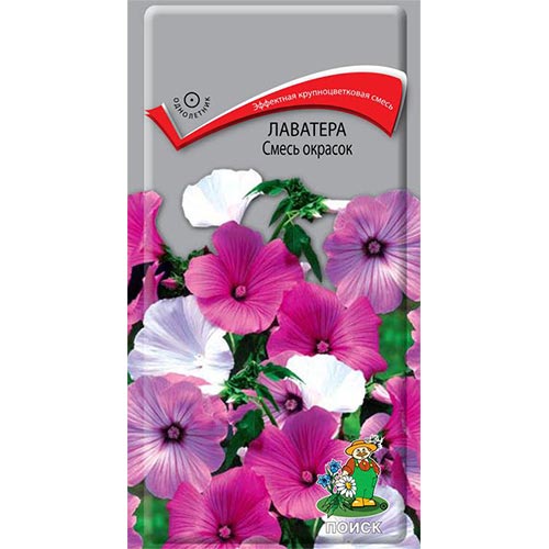 Лаватера, смесь окрасок изображение 1 артикул 93032