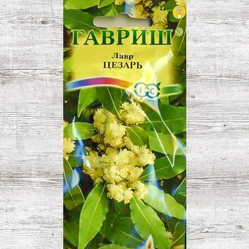 Лавр благородный Цезарь Гавриш изображение 1 артикул 66084