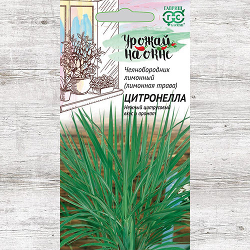 Лемонграсс (лимонная трава) Цитронелла изображение 1 артикул 84019