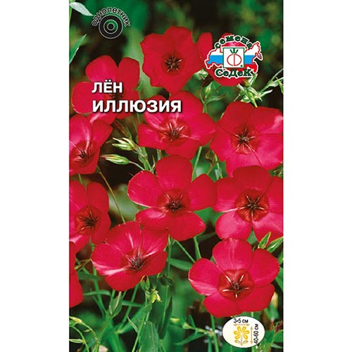 Лен Иллюзия, семена изображение 1 артикул 93874