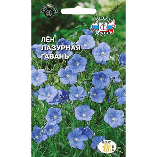Лен Лазурная гавань, семена изображение 1 артикул 93875