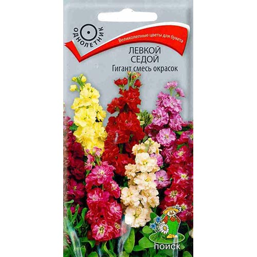 Левкой Гигант, смесь окрасок изображение 1 артикул 93033