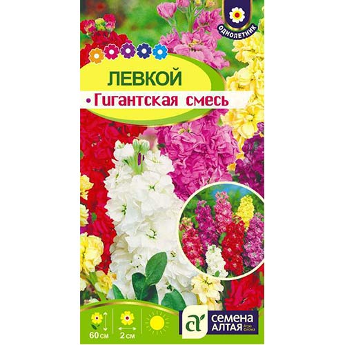 Левкой Гигантский, смесь окрасок Семена Алтая артикул фото 1 Левкой Гигантский, смесь окрасок Семена Алтая изображение 1 артикул 78156