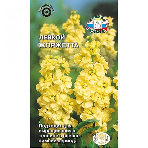 Левкой Жоржетта, семена изображение 1 артикул 93867