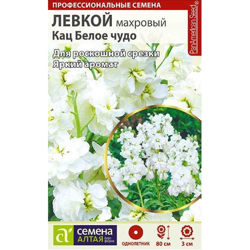 Левкой Кац Белое чудо Семена Алтая артикул фото 1 Левкой Кац Белое чудо Семена Алтая изображение 1 артикул 78260