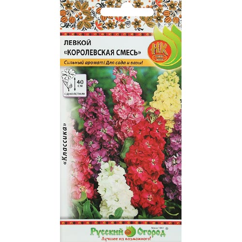 Левкой Королевская, смесь окрасок изображение 1 артикул 92549