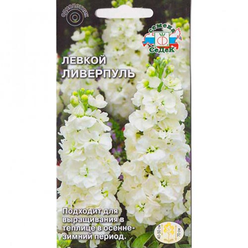 Левкой Ливерпуль, семена артикул фото 1 Левкой Ливерпуль, семена изображение 1 артикул 93868