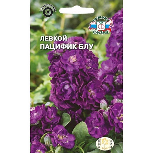 Левкой Пацифик блу, семена артикул фото 1 Левкой Пацифик блу, семена изображение 1 артикул 93869