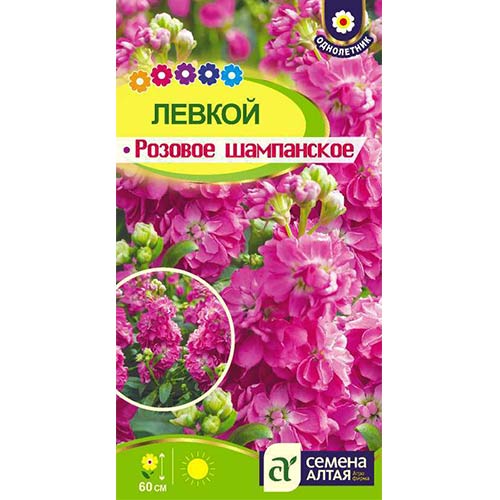 Левкой Розовое шампанское Семена Алтая изображение 1 артикул 84759