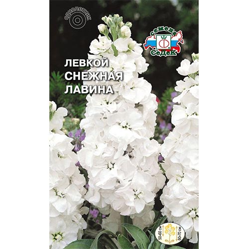 Левкой Снежная лавина, семена артикул фото 1 Левкой Снежная лавина, семена изображение 1 артикул 93870