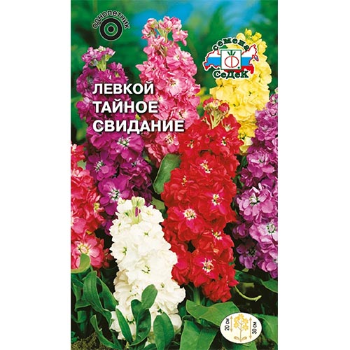 Левкой Тайное свидание, смесь окрасок изображение 1 артикул 93871